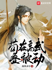 ����С˵:���ڸ��������