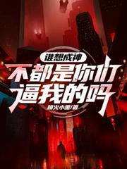 ����С˵:˭����񣿲��������Ǳ��ҵ���