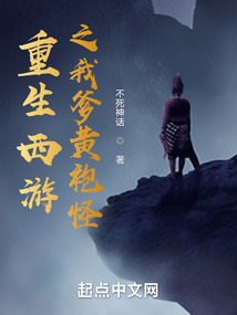 ����С˵:��������֮�ҵ����۹�