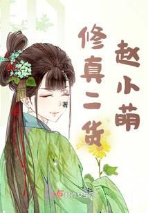 ����С˵:���������С��