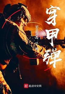 ����С˵:���׵�