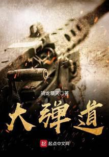 ����С˵:�󵯵�