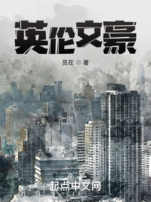 ����С˵:Ӣ���ĺ�