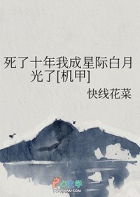 ����С˵:����ʮ���ҳ��Ǽʰ��¹���[����]