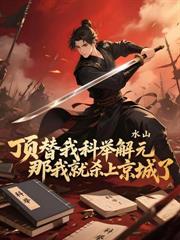 ����С˵:̫����˫