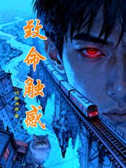 ����С˵:��������