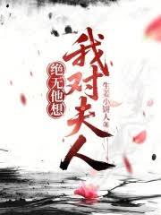 ����С˵:�ҶԷ��˾�������