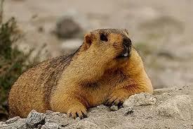 ����С˵:���ڻ���Ʈ����ô�������ˣ�