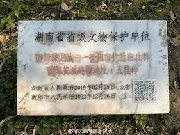 ����С˵:�ҵ��쳣���鱨��