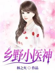 ����С˵:��ҰСҽ��