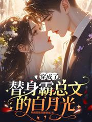 ����С˵:���������������ĵİ��¹�