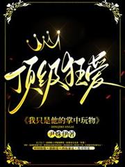 ����С˵:�����񰮣���ֻ��������������