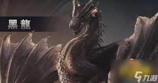 ����С˵:����