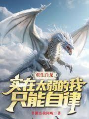 ����С˵:�����������Ӽ��������̿�ʼ