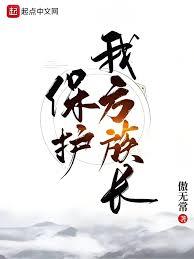 ����С˵:ȫְ����