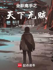 ����С˵:ȫְ����֮��������