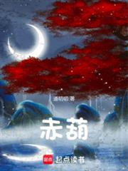 ����С˵:�������ɣ����������ʼ