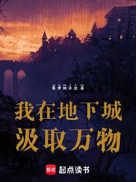 ����С˵:���ڵ��³Ǽ�ȡ����