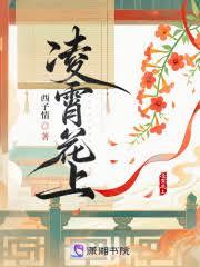 ����С˵:��������