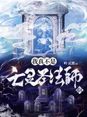 ����С˵:���治������ʥ��ʦ����