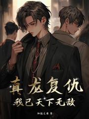 ����С˵:����������ȫ����