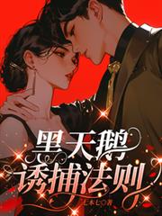 ����С˵:������ղ�����