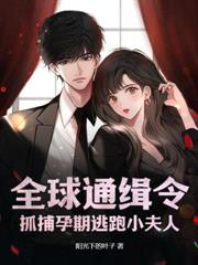 ����С˵:�����ɷ������������Ʒ�ż�һ������