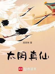 ����С˵:̫������