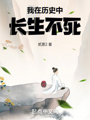 ����С˵:������ʷ�г�������