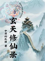 ����С˵:��������¼