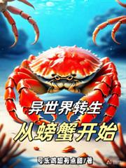 ����С˵:������ת�����з��ʼ