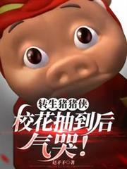 ����С˵:ת����������У���鵽�����ޣ�