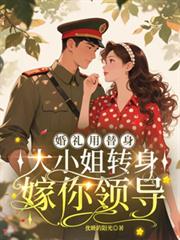 ����С˵:��������������С��ת�������쵼