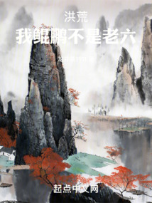 ����С˵:��ģ���������������