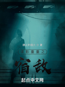 ����С˵:��Ӱ����֮�޵�