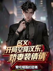 ����С˵:���壺���ֿս�������������ٻٻ