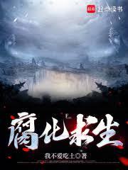 ����С˵:��������