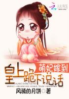 ����С˵:�����޵������Ϲ���˵��