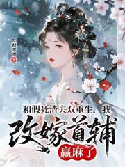 ����С˵:������������̳ɸ������İ��¹�