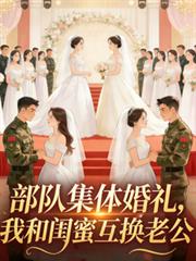 ����С˵:���Ӽ�������Һ͹��ۻ����Ϲ�