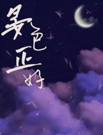 �ٺ�С˵:��ɫ����