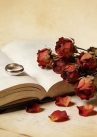 ����С˵:����