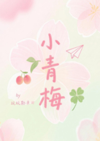 ����С˵:С��÷��У԰H��