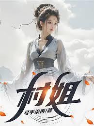 ����С˵:���