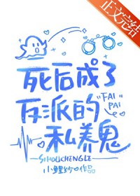 ����С˵:������˷���˽����