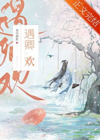 ����С˵:���件