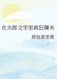 ����С˵:�ڷ�����ѧ����׬��