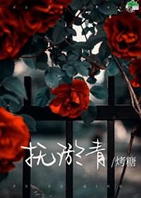 ����С˵:������