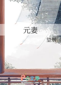 ����С˵:Ԫ��