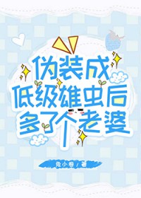 ����С˵:αװ�ɵͼ��۳����˸�����